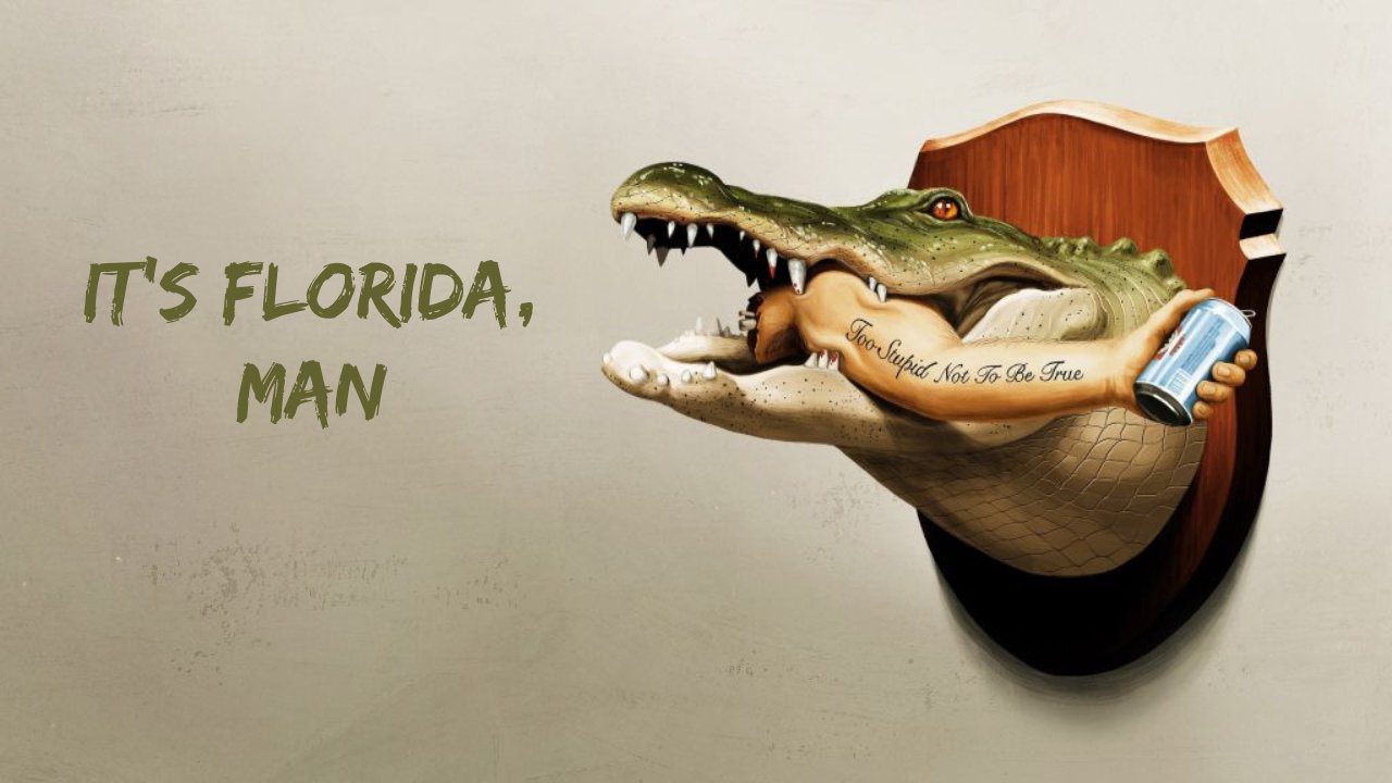 its florida man season 1 trailer 1 1