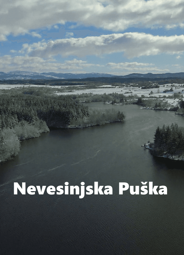 Nevesinjska Puska
